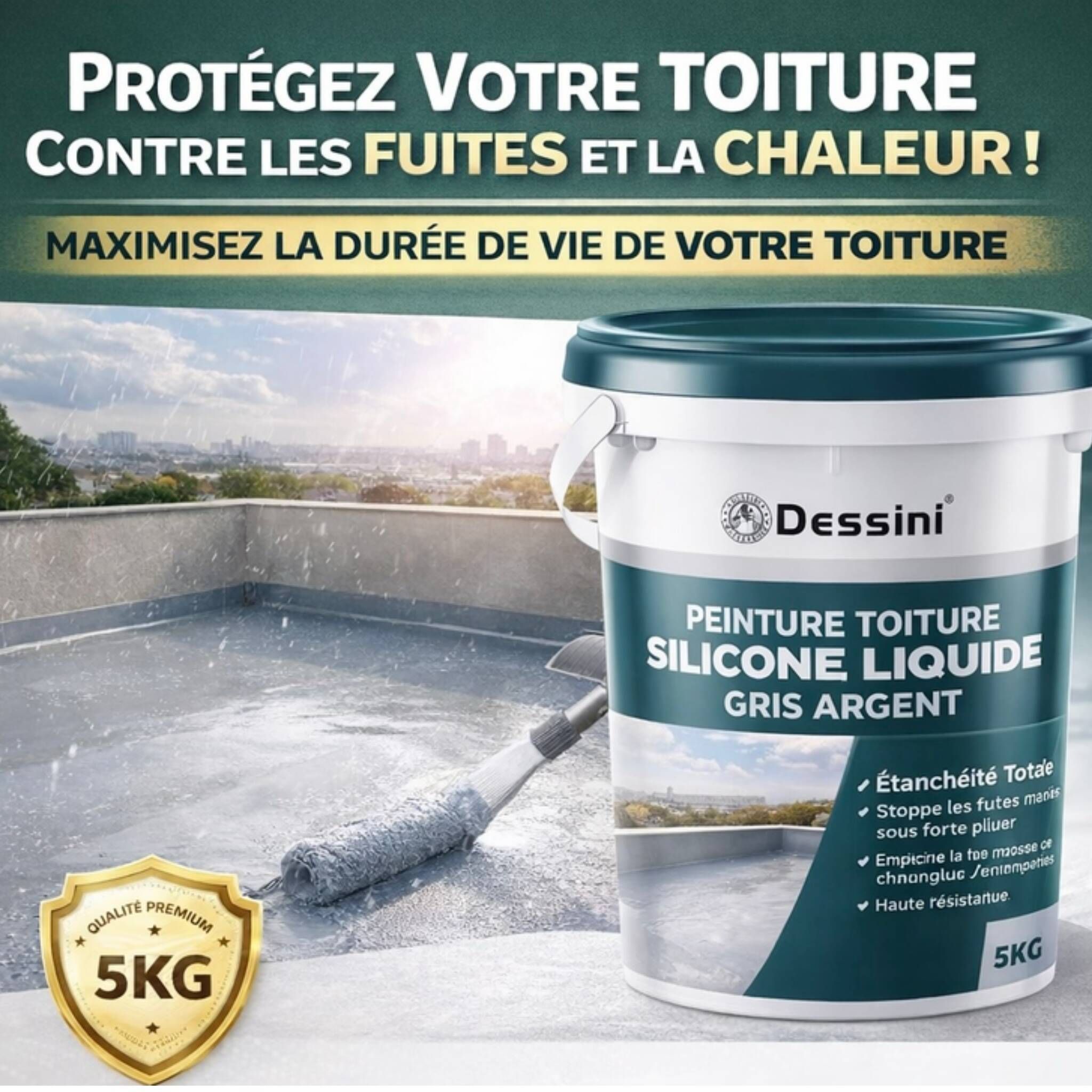 5KG Peinture Silicone Gris - Résistante, Anti Fuite et Moisissure & Réfléchit la Chaleur (Kinshasa)