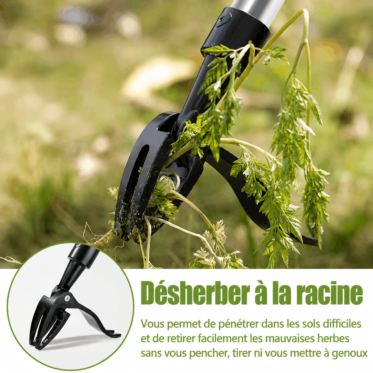 Désherbeur Sans Effort pour Mauvaises Herbes – Jardin & Pelouse – Image 3