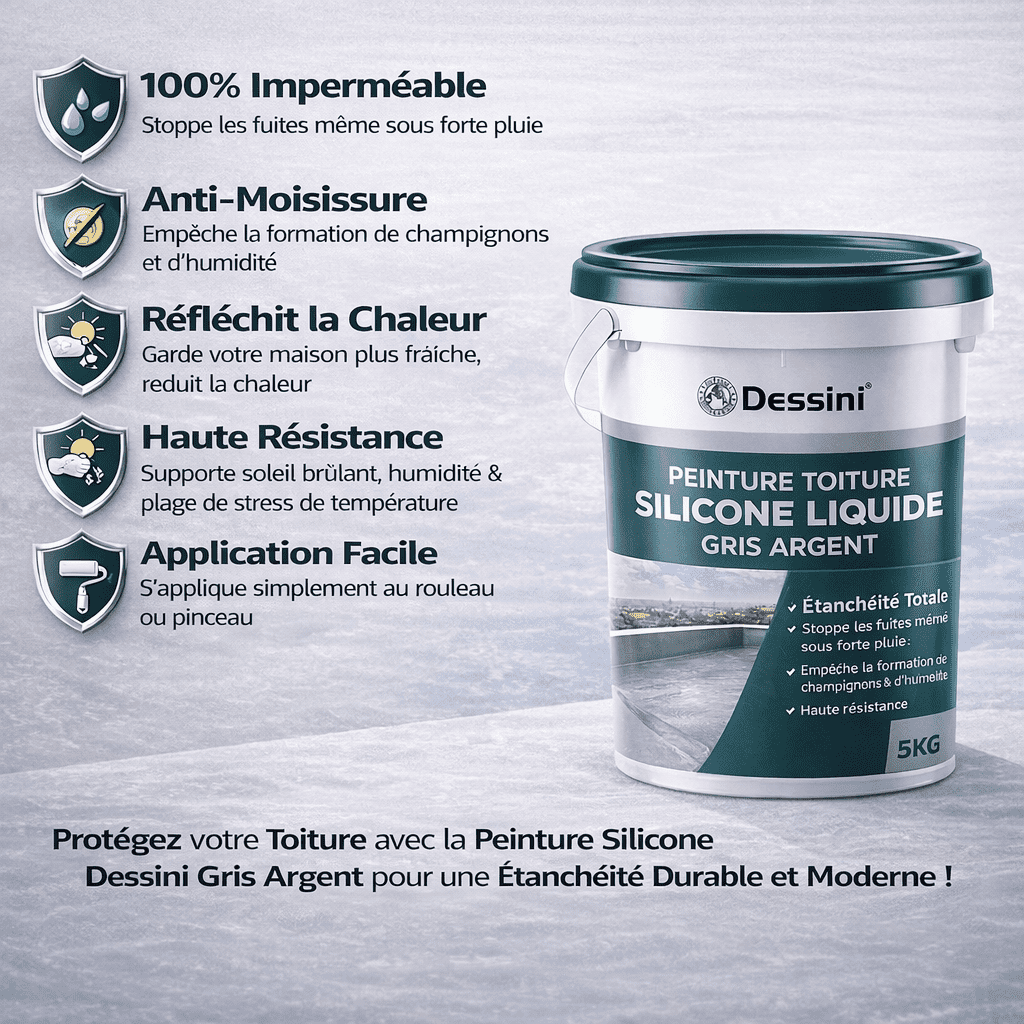 5KG Peinture Silicone Gris - Résistante, Anti Fuite et Moisissure & Réfléchit la Chaleur – Image 3